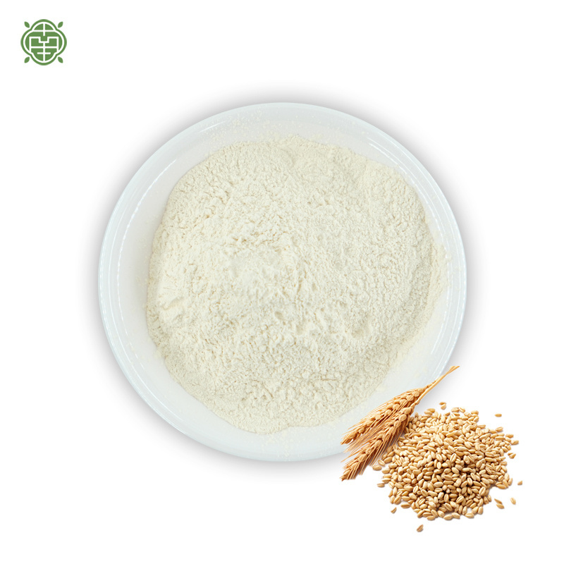 Nanqiao Low Price Wholesale Oat Beta Glucan Powder Oat Extract with Glucan 70% Oat Beta Glucan