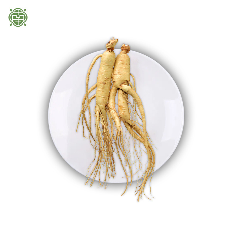 Nanqiao herbs 2.0 semoir herbe herbs importer ginseng