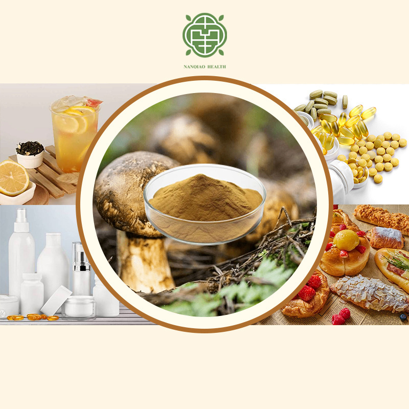 Nanqiao Industry  Natural Agaricus Blazei Murill Extract Fresh Matsutake Mushroom Tricholoma Matsutake Extract