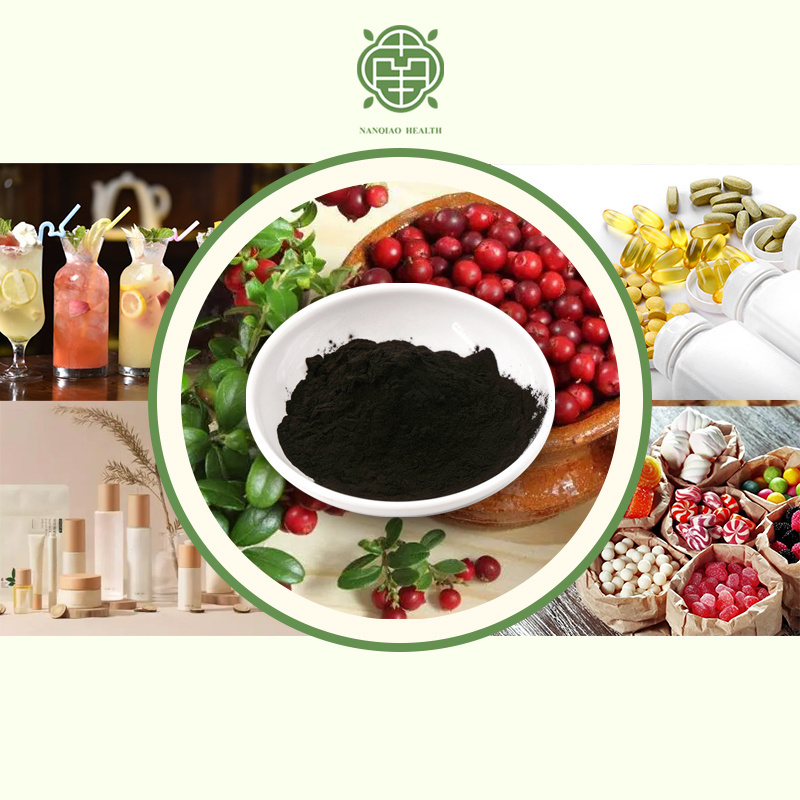 Nanqiao coleus forskolin extract berberine extract powder soybean germ extract