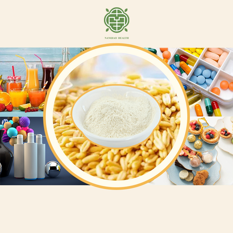 Nanqiao Low Price Wholesale Oat Beta Glucan Powder Oat Extract with Glucan 70% Oat Beta Glucan