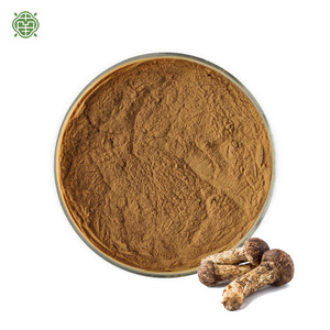 Nanqiao Industry  Natural Agaricus Blazei Murill Extract Fresh Matsutake Mushroom Tricholoma Matsutake Extract