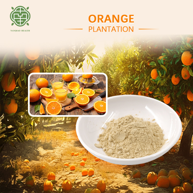 Nanqiao Natural Plant Extracts Bitter Orange Extract Hesperidin 95% Citrus Aurantium Extract Powder for healthy drinking