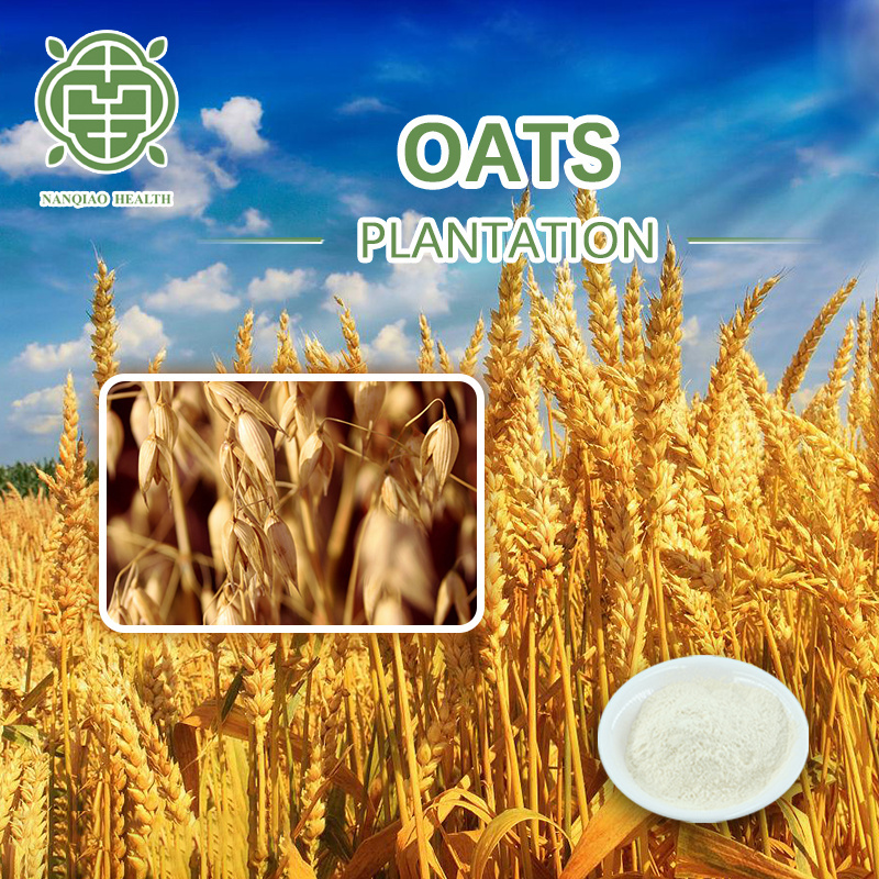 Nanqiao Low Price Wholesale Oat Beta Glucan Powder Oat Extract with Glucan 70% Oat Beta Glucan