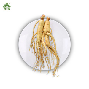 Nanqiao herb supplies mexican herbs herb dish ginseng