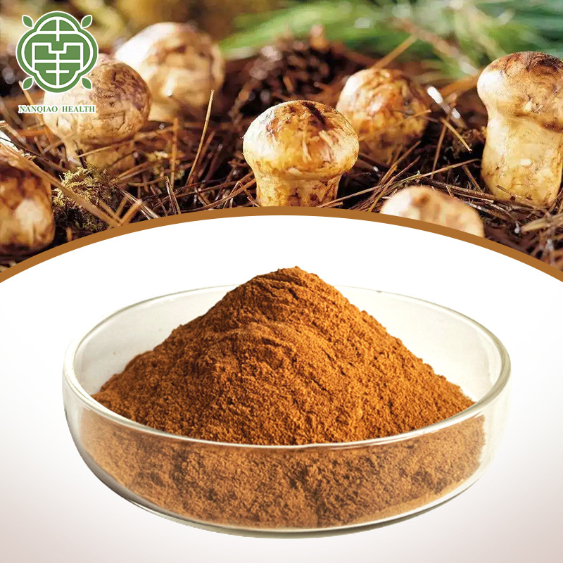 Nanqiao Industry  Natural Agaricus Blazei Murill Extract Fresh Matsutake Mushroom Tricholoma Matsutake Extract