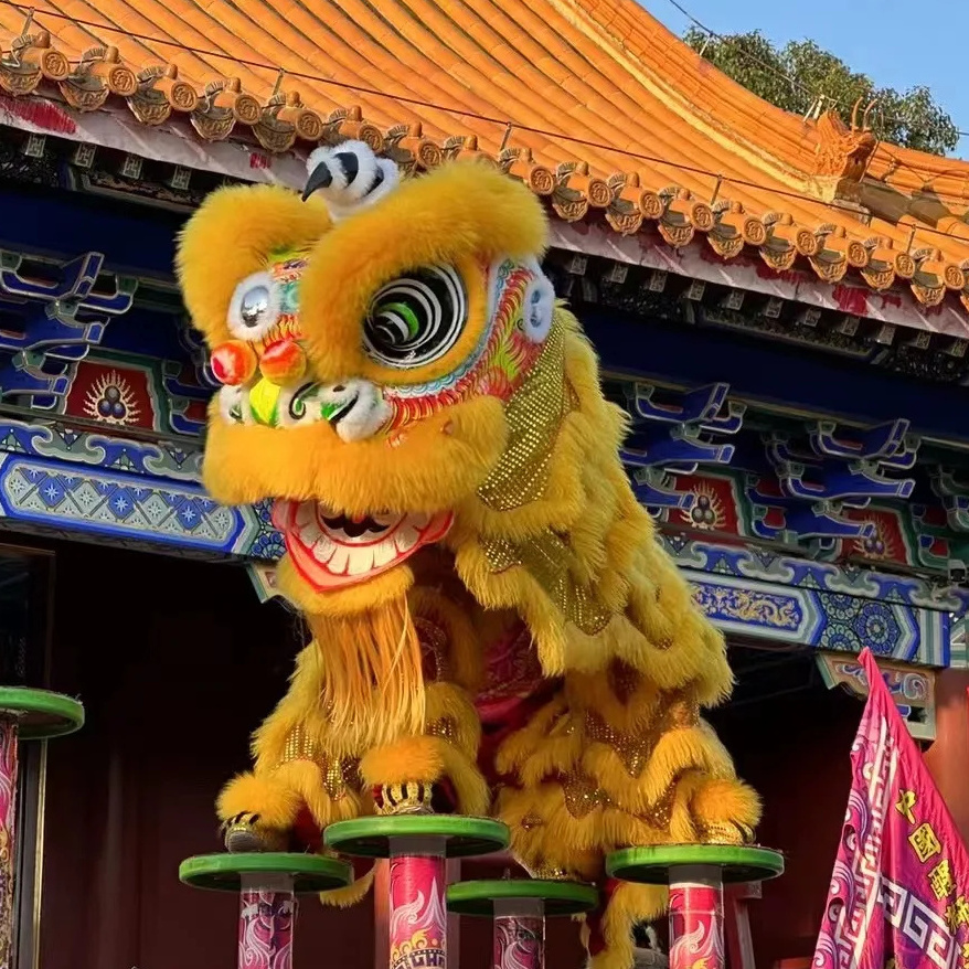 Chinese China Normal Size China Performance Lion Dance Costume Chinese Culture Dancing Lion Lion Dance Costume Two People