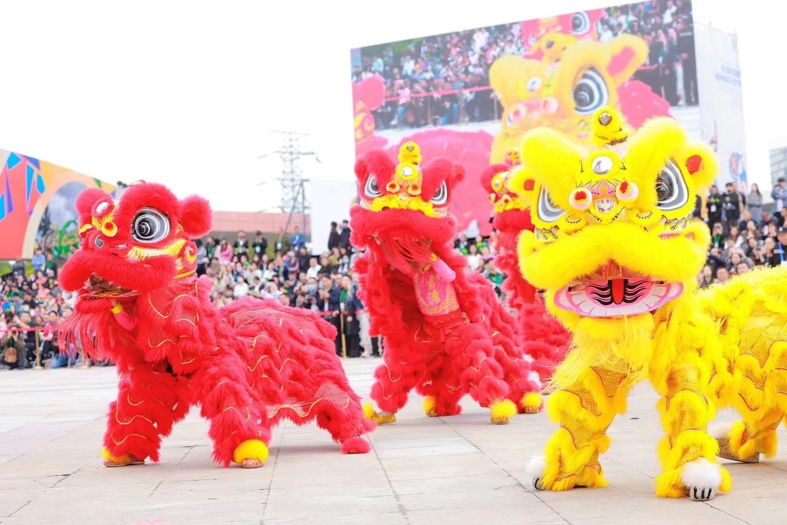 Chinese China Normal Size China Performance Lion Dance Costume Chinese Culture Dancing Lion Lion Dance Costume Two People