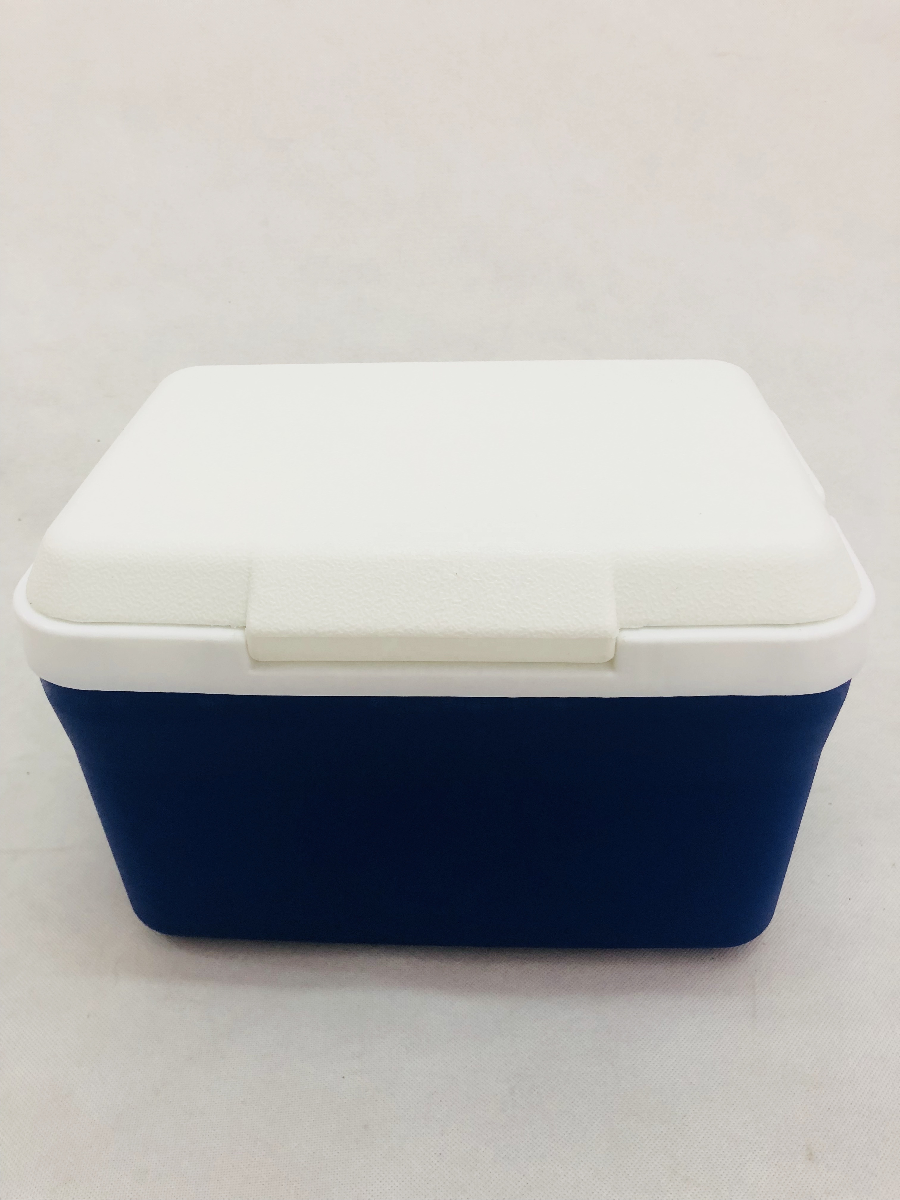 8L Portable Mini plastic Ice Cream Cooler Ice Box box drink cooler