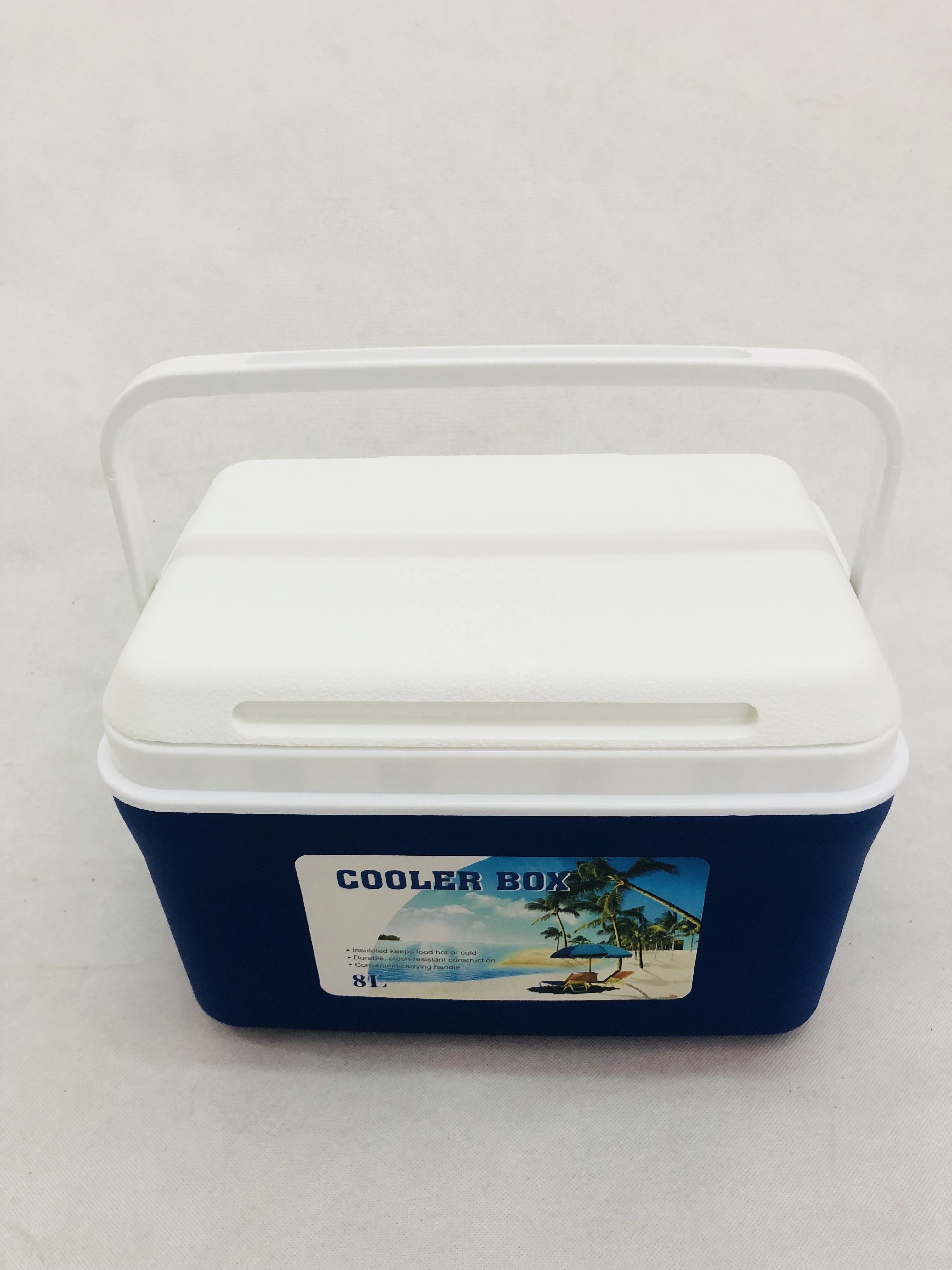 8L Portable Mini plastic Ice Cream Cooler Ice Box box drink cooler