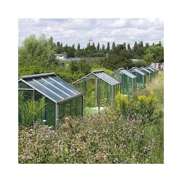 Low Price High Quality Eco-Friendly Green House Greenhouse For Garden Strong Hobby Polycarbonate Garden Greenhouses