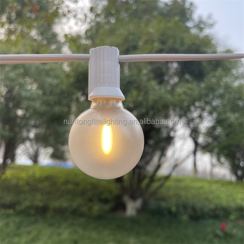 Holiday Decoration Christmas Light Indoor Outdoor Led G40 White Matte style Tungsten String Light