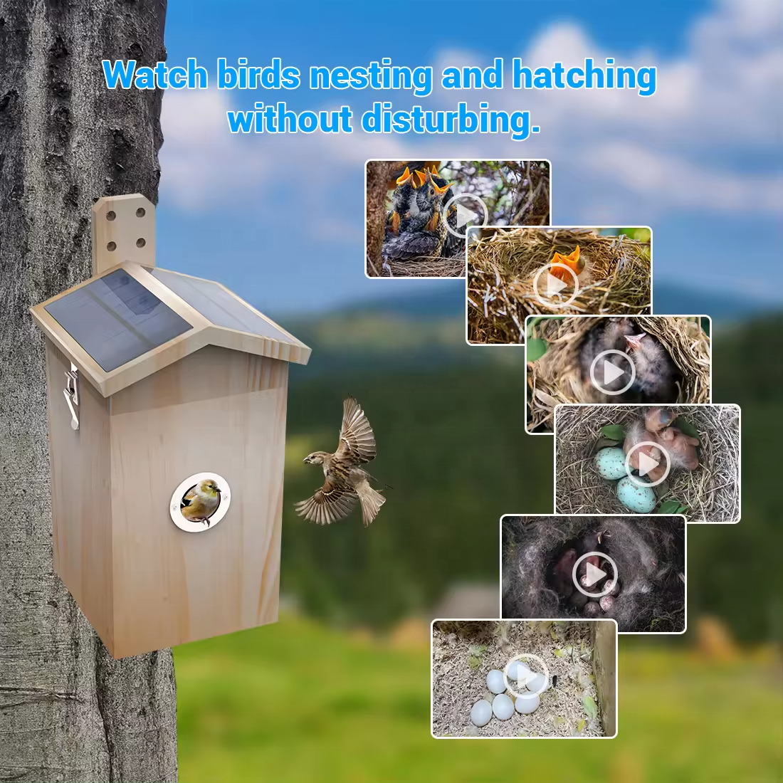 Smart AI Wood Bird Nest  with camera   solar panel waterproof bird house gift for loved ones outdoor pet house