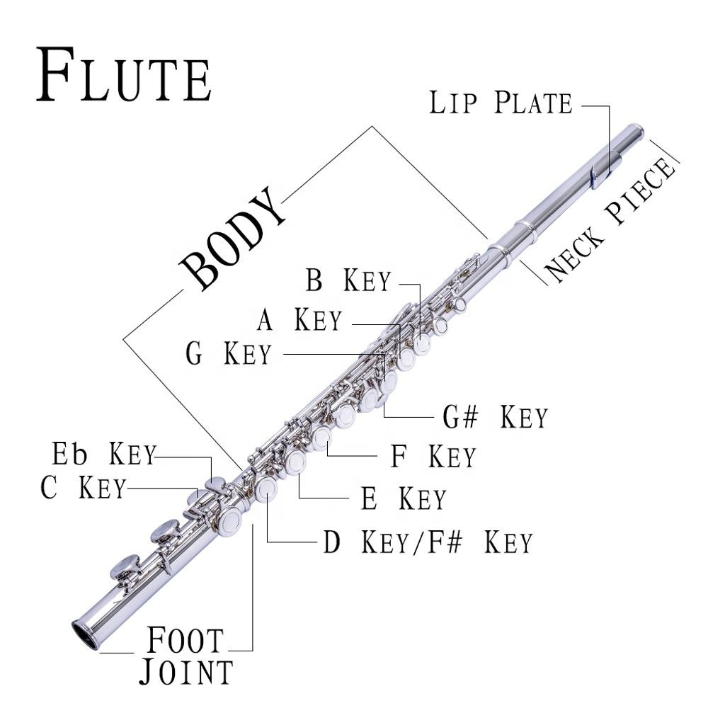 NAOMI 16 Holes Closed Hole Flute C Key Flutes Woodwind Instrument Cupronickel Silver Plated Concert