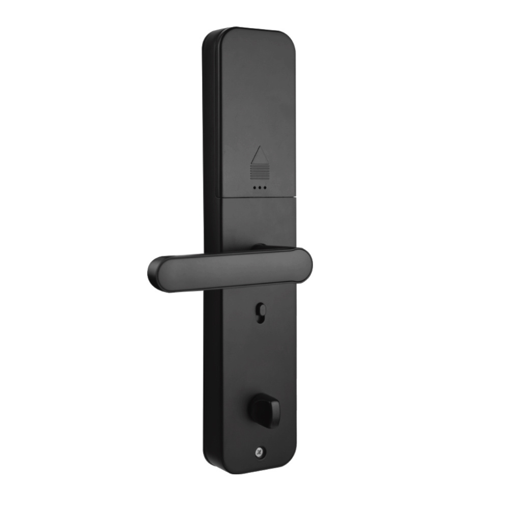 Waterproof WiFi TTLock APP Remote Unlock Smart Slide homekit liliwise bluetooth smart door lock