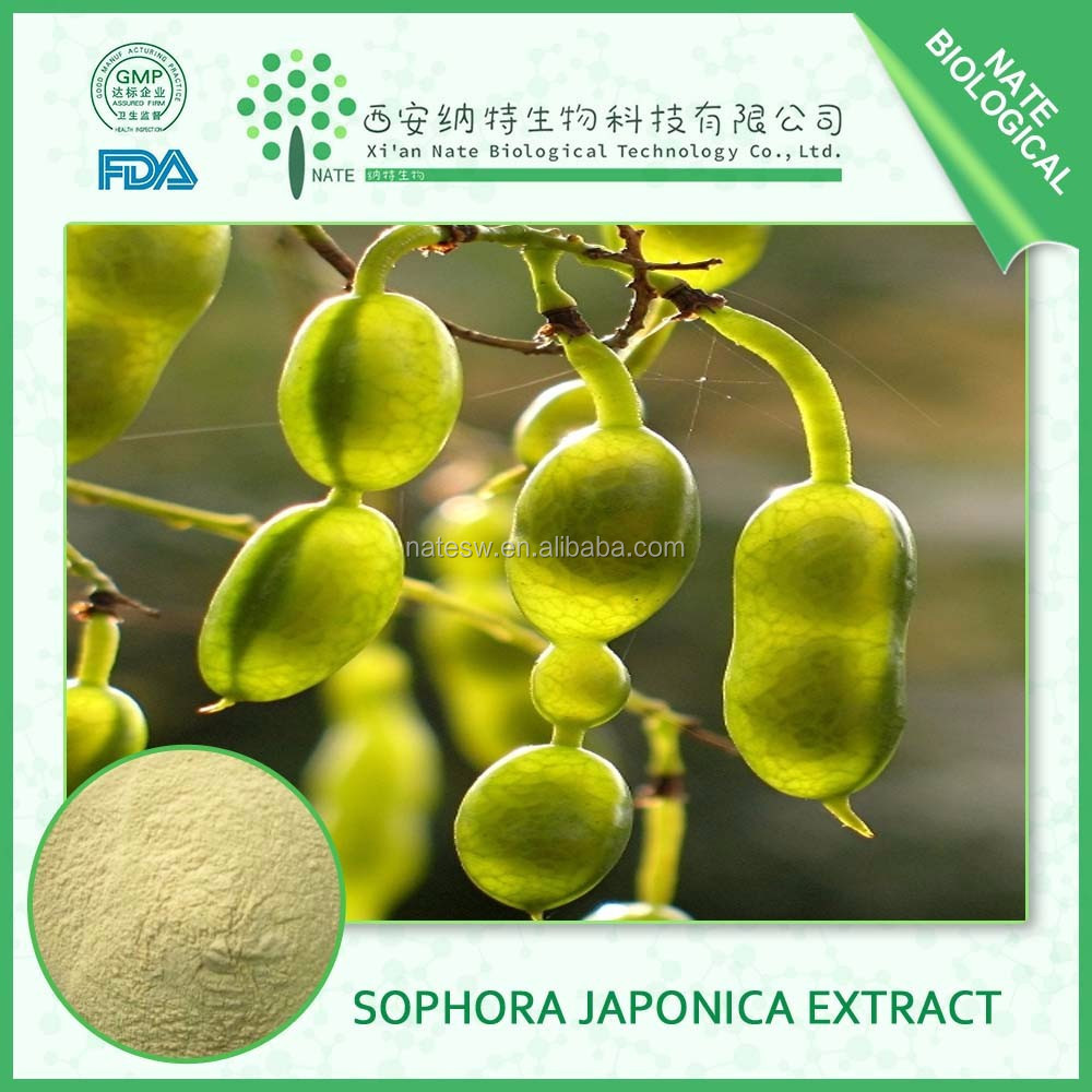 Sophora Japonica Extract 98% Genistein