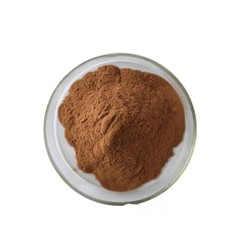 Wholesale Bulk chanterelle mushroom extract powder polysaccharide 50%