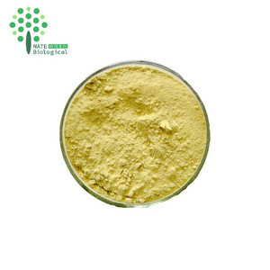 Sophora Japonica Extract 98% Genistein