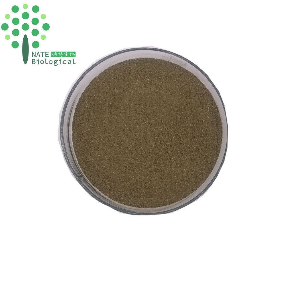 Health product Damiana herb powder, Damiana leaf extract powder, Damiana Leaf powder