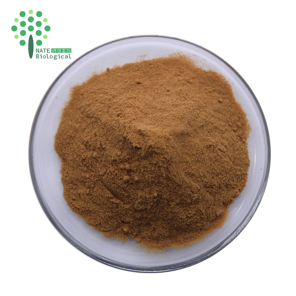 Organic lions mane mushroom extract powder 30% Beta glucan bulk