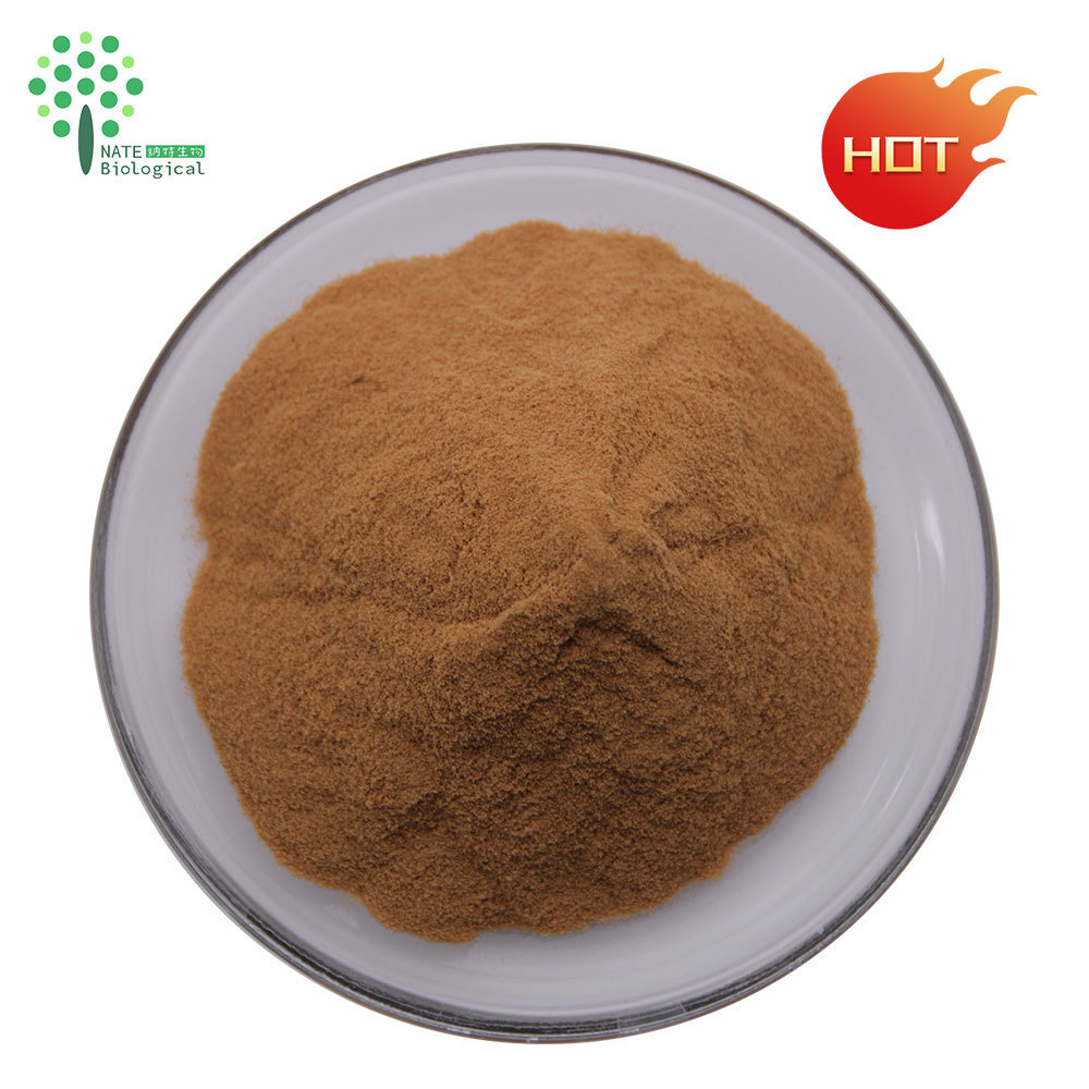 Agrocybe Cylindracea tea tree mushroom extract polysaccharide powder