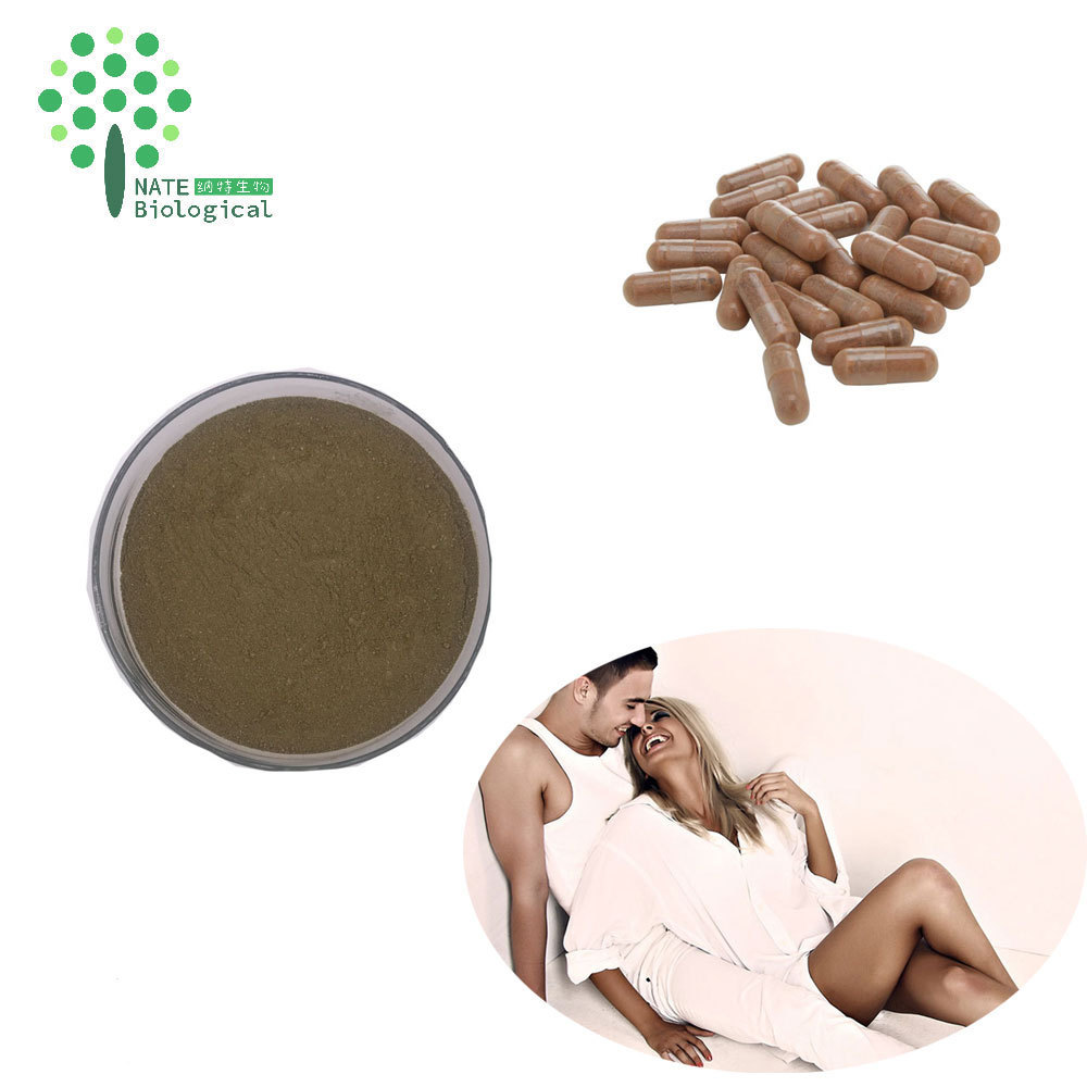 Health product Damiana herb powder, Damiana leaf extract powder, Damiana Leaf powder