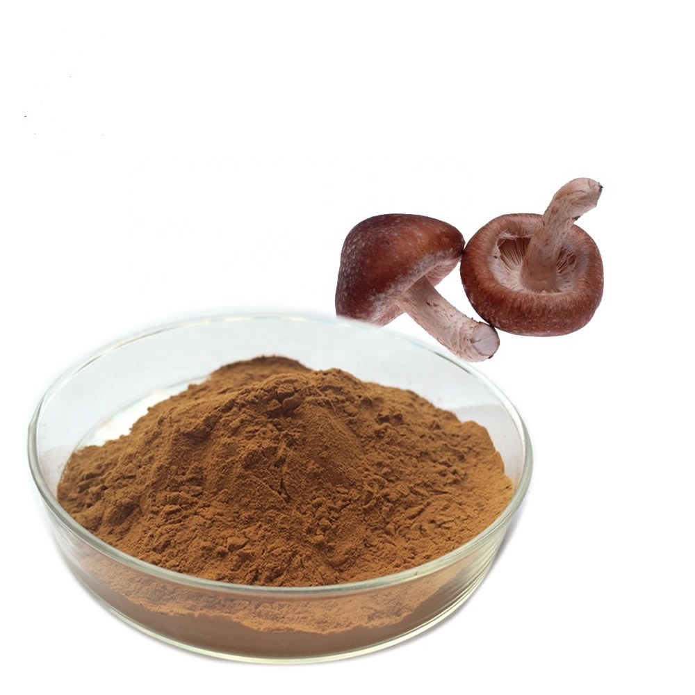 Organic Certified Immunity Enhancing Shiitake Mushroom Extract 30% Lentinan