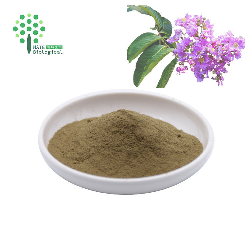 Supply Banaba Leaf Extract with Corosolic Acid Powder CAS 4547-24