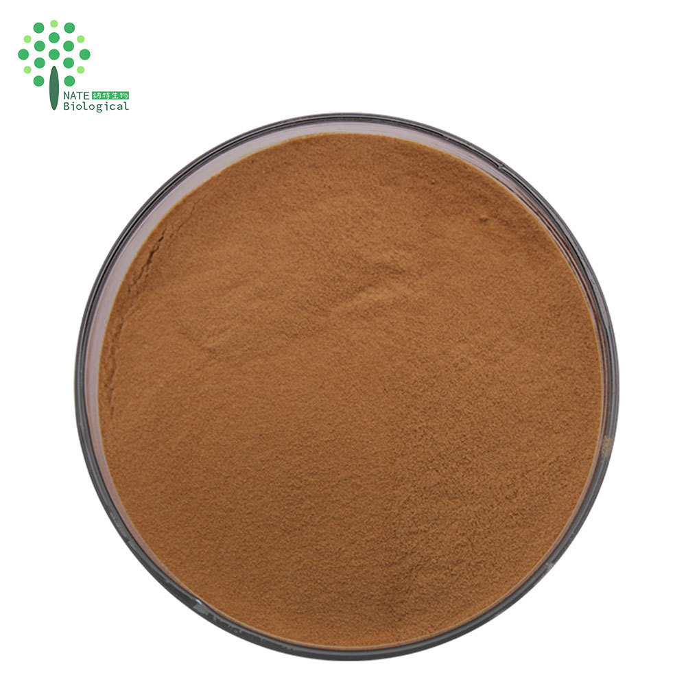 Wholesale Bulk chanterelle mushroom extract polysaccharide 50% powder