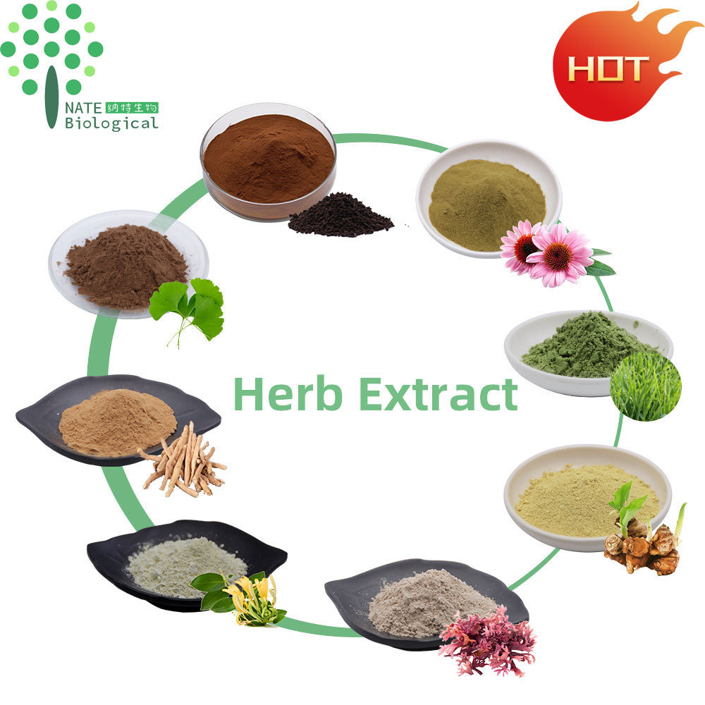 Health product Damiana herb powder, Damiana leaf extract powder, Damiana Leaf powder