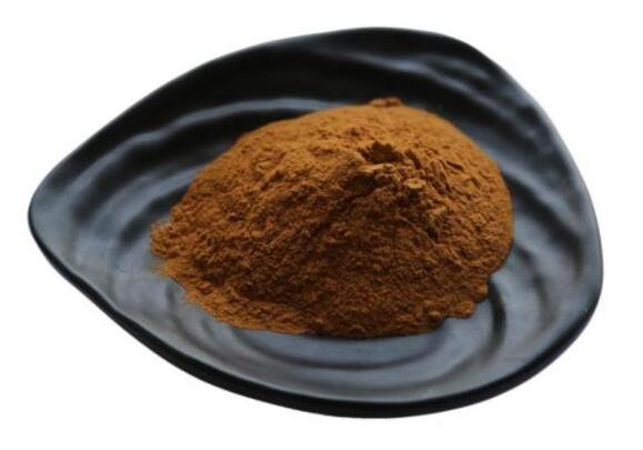 Agrocybe Cylindracea tea tree mushroom extract polysaccharide powder