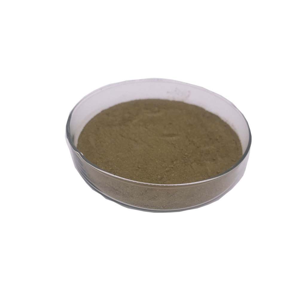 Health product Damiana herb powder, Damiana leaf extract powder, Damiana Leaf powder