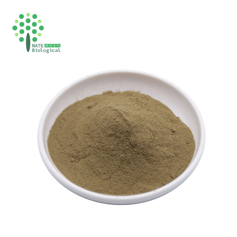 Supply Banaba Leaf Extract with Corosolic Acid Powder CAS 4547-24