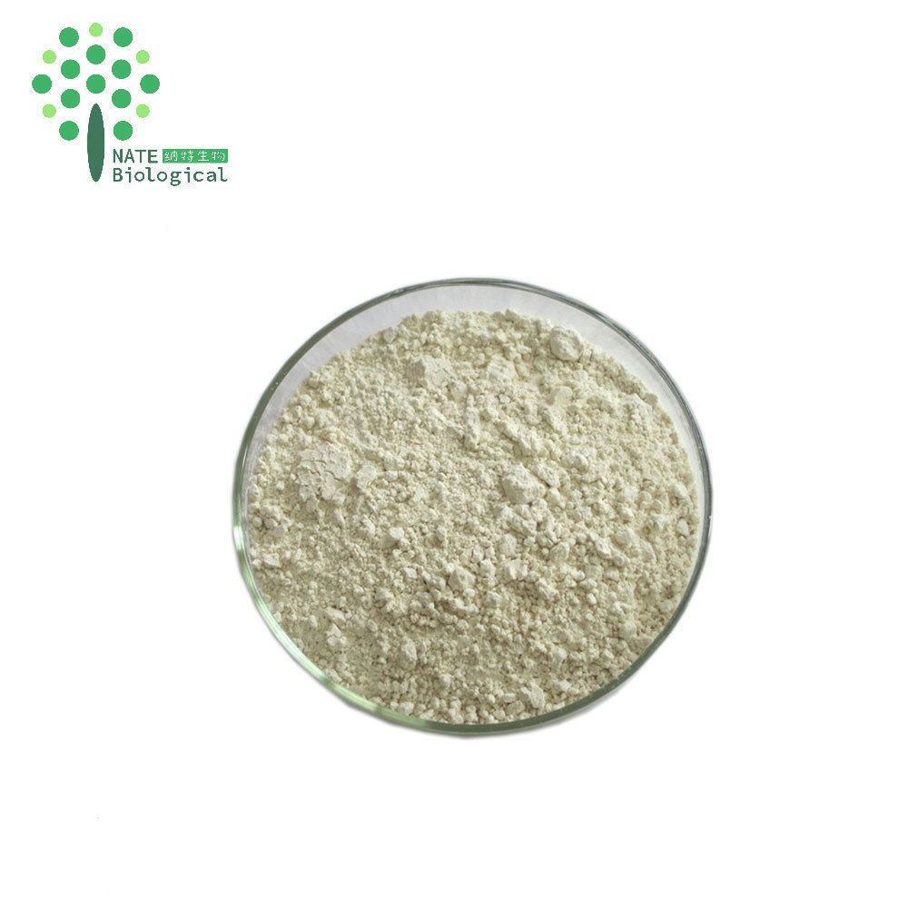 Natural Bitter Orange Fruit Extract powder 90% Hesperidin