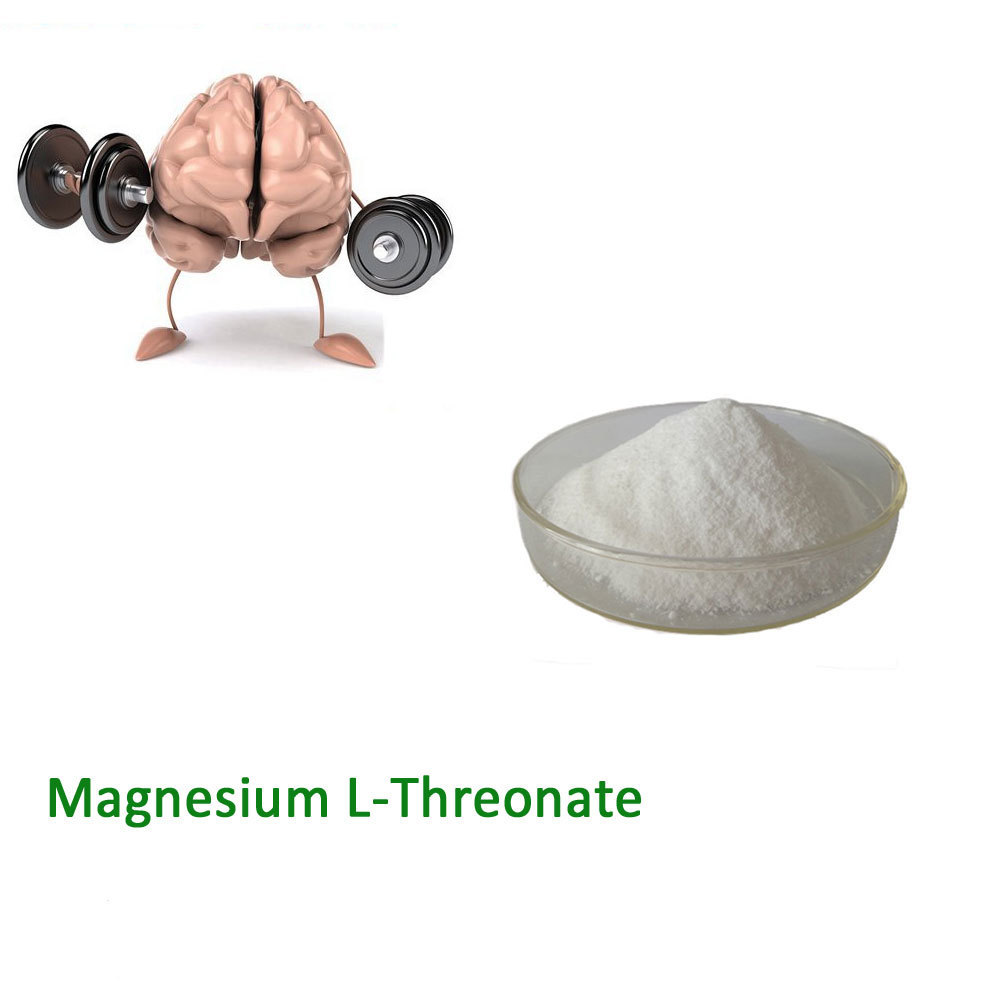 Nutritious Supplement Magnesium L-Threonate powder 99% CAS 778571-57-6 bulk