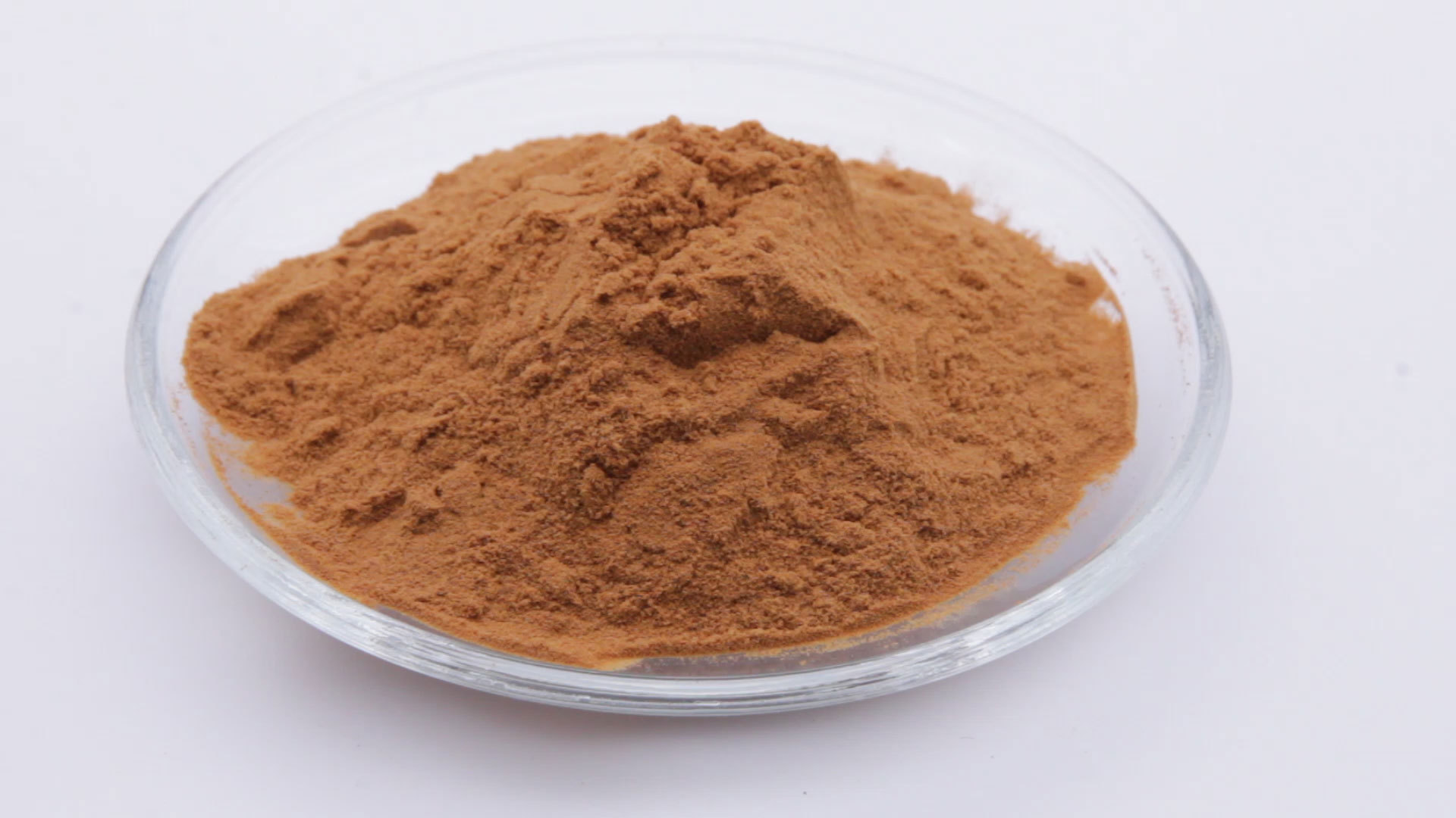 Fungus extract Cantharellus cibarius mushrooms extract powder manufactures