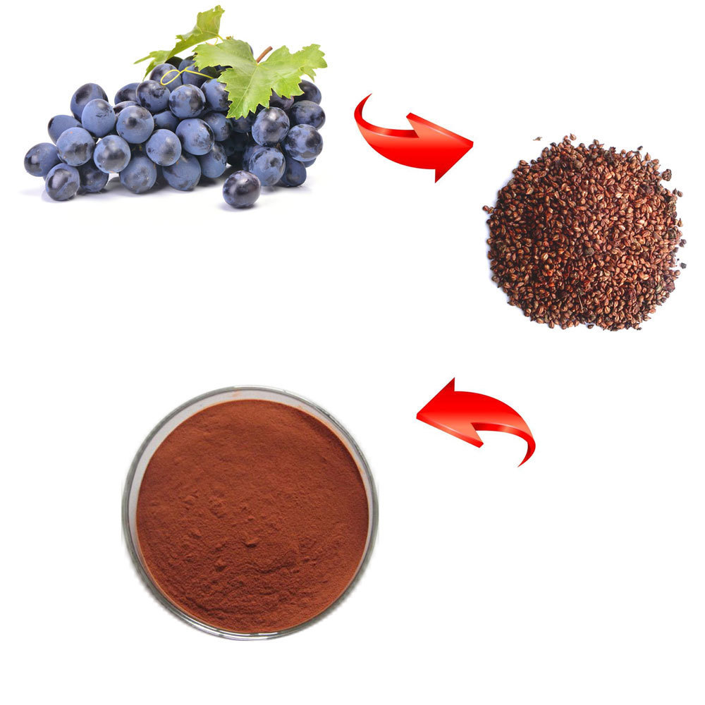 Amazing Antioxidant product Grape seed extract OPC 95% Proanthocyanidin