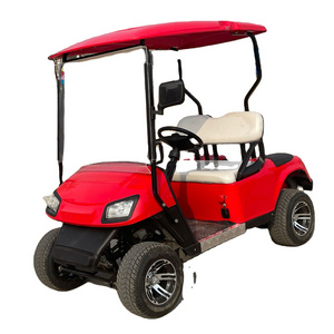 Company 2 seats electric golf shuttle buggy