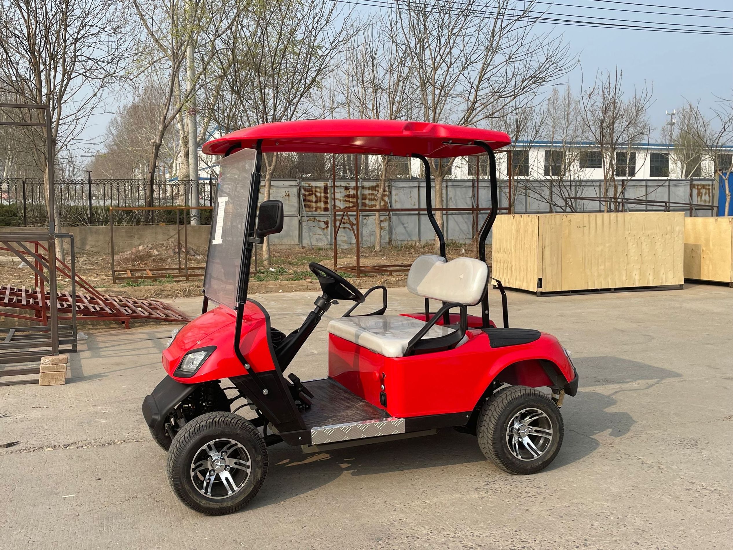 Company 2 seats electric golf shuttle buggy