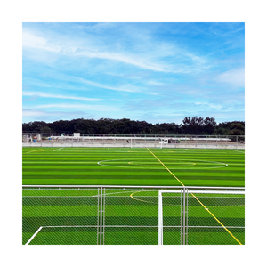 Sample available High Quality Cheap Football Grass High Quality Cheap Football Grass Football field artificial grass