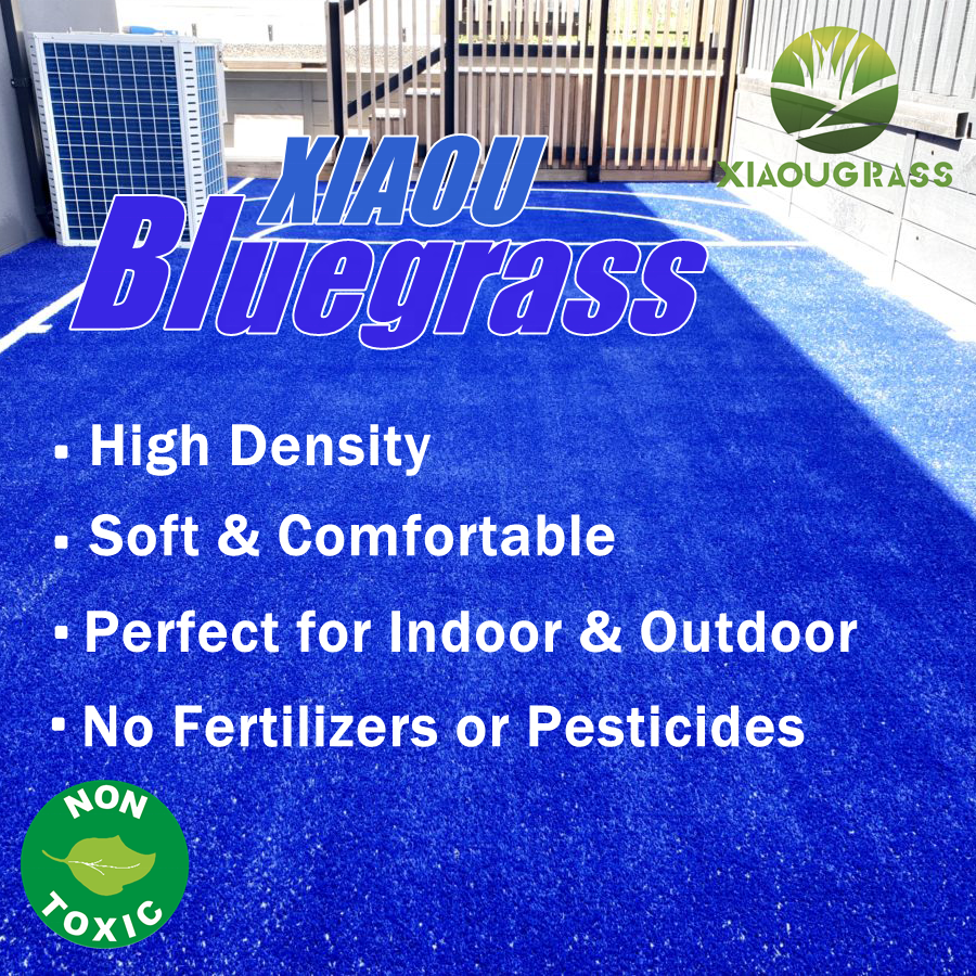 Cheapest 20mm Colored Artificial Grass Turf Blue Grass Rug with Drainage Holes Synthetic Blue Turf