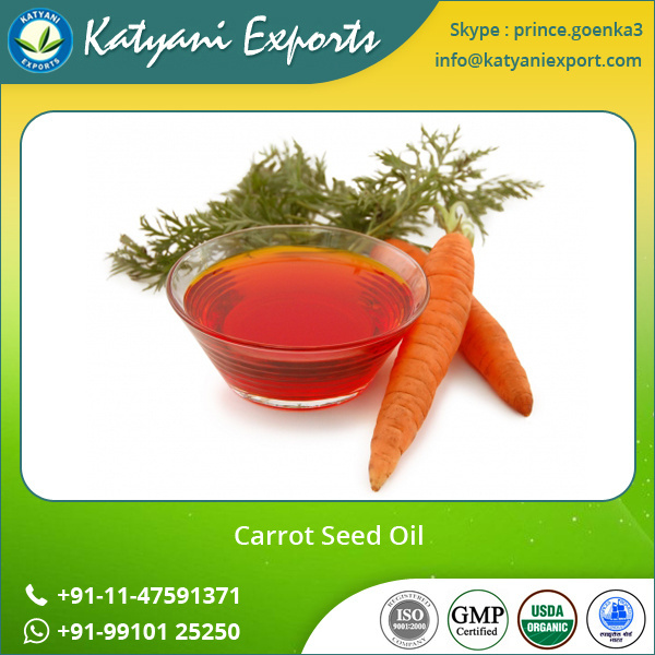 100% Certified Pure & Natural Carrot Seed Essential Oil for Skin Lightening