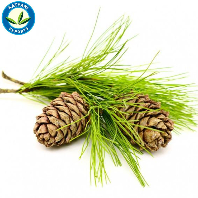 Best Supplier's of Pure Himalayan Cedarwood Essential Oil