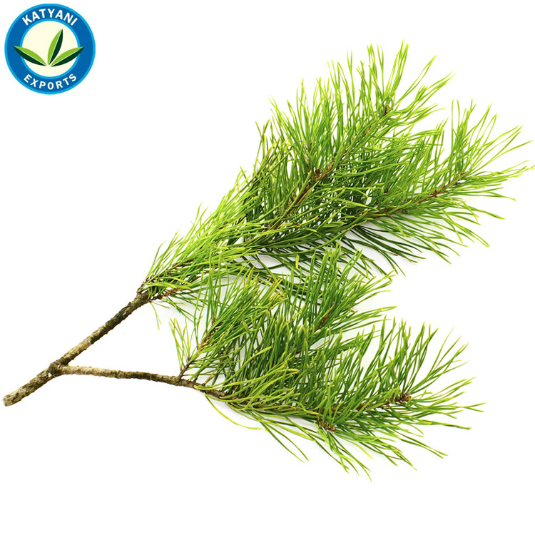 Best Supplier's of Pure Himalayan Cedarwood Essential Oil