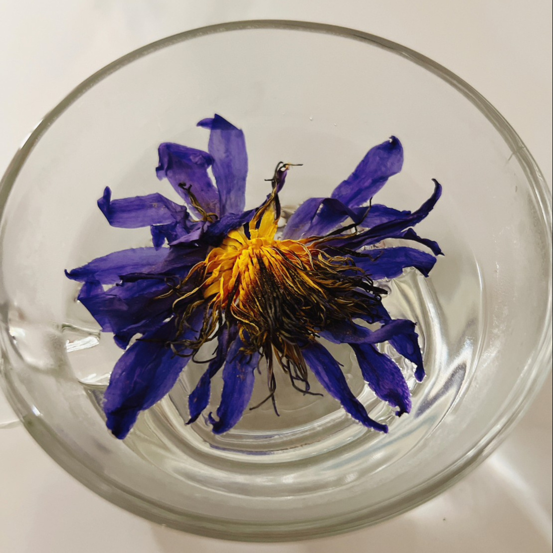 Natural Dried Blue Lotus Flower / Lan lian hua whole dried blue lotus flower tea From Thailand with Organic / No Pesticide