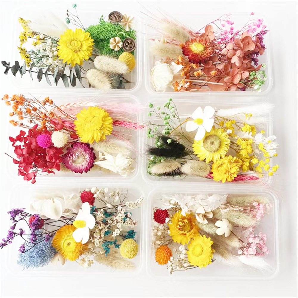 2023 flower box Real Dried Flower DIY Packing Materials  for Resin Flower Accessories candle decorative paintings