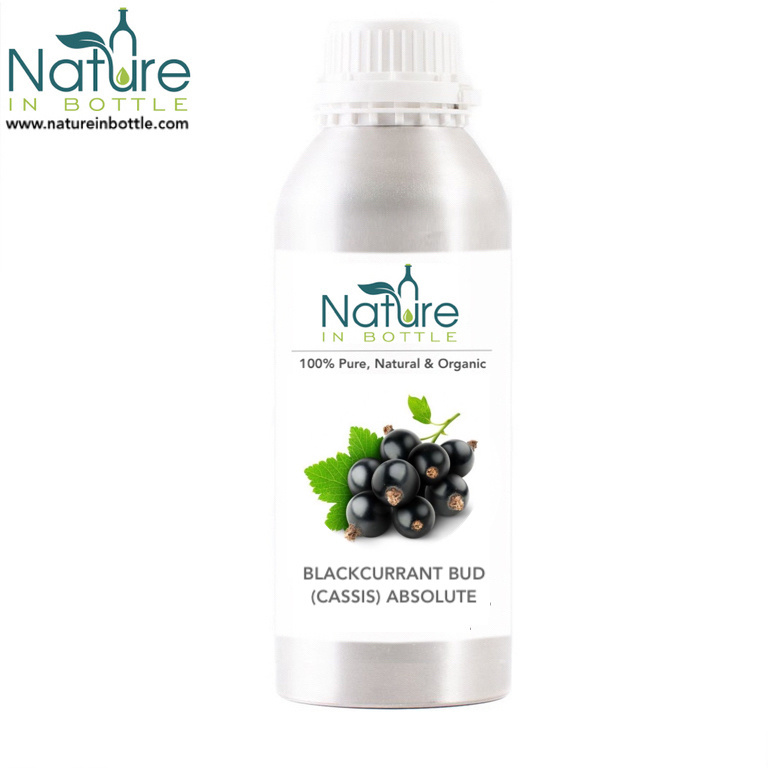 Blackcurrant Bud Essential Oil | Cassis Essential Oil | Ribes Nigrum Flower Oil - Pure Natural Essential Oils - Wholesale Bulk