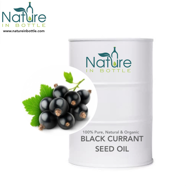 Blackcurrant Oil | Ribes nigrum | Black Currant Seed Oil - 100% Pure and Natural Essential Oils - Wholesale Bulk Price