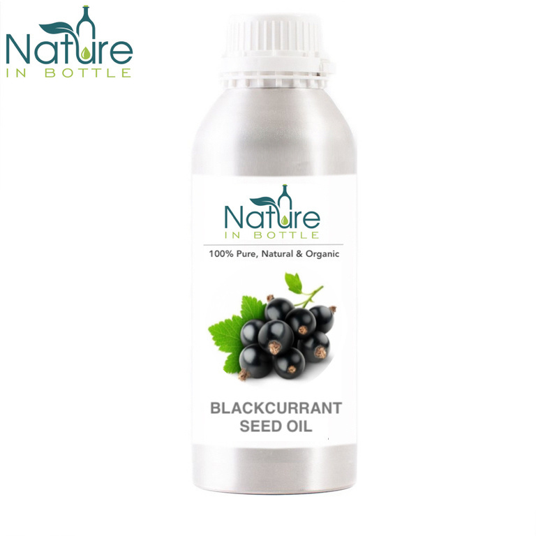 Blackcurrant Oil | Ribes nigrum | Black Currant Seed Oil - 100% Pure and Natural Essential Oils - Wholesale Bulk Price