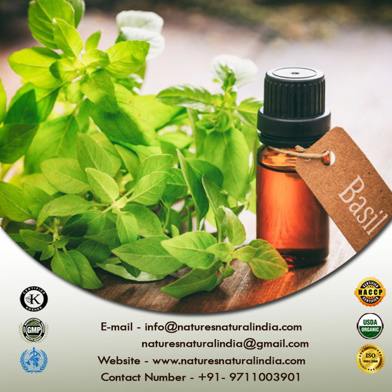 Wholesale Face Care Whitening Essential Oil Skin Brightening Holy Basil Oil in 10ml 20ml 30ml Customized Packaging